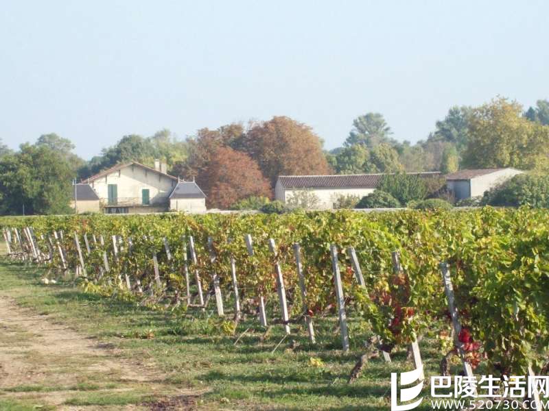 拥抱太阳的中级庄——金庄古堡 拥抱太阳的中级庄——金庄古堡