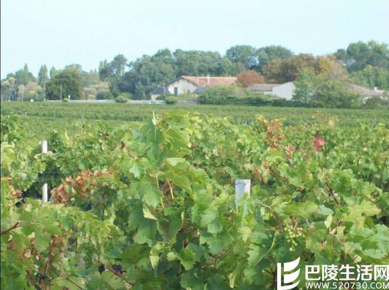 拥抱太阳的中级庄——金庄古堡