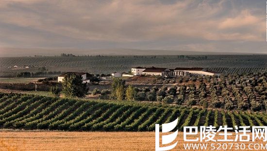 全球最值得游览的15条葡萄酒之路（上）