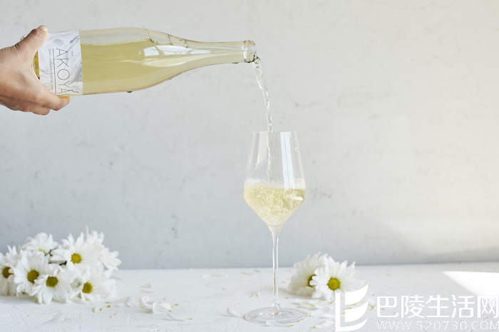 霞多丽真爱粉一定也会爱上它！