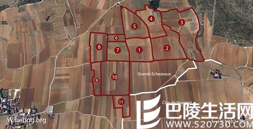 详解勃艮第夜丘第二大特级园——依瑟索