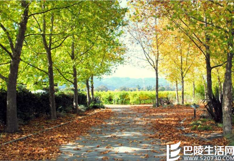 专家有话说：美国葡萄酒旅行必去产区