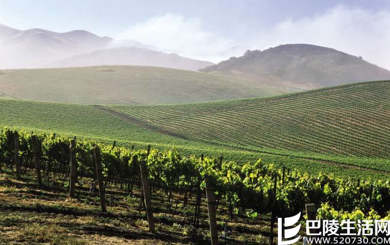 专家有话说：美国葡萄酒旅行必去产区