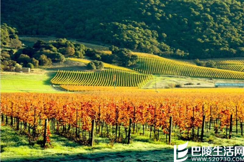 专家有话说:美国葡萄酒旅行必去产区 专家有话说:美国葡萄酒旅行必去产区