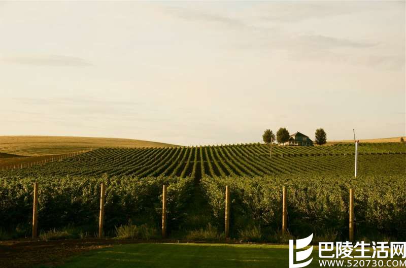 专家有话说：美国葡萄酒旅行必去产区