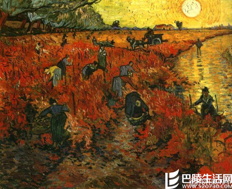 那些入了画的葡萄园，哪个入了你的心？