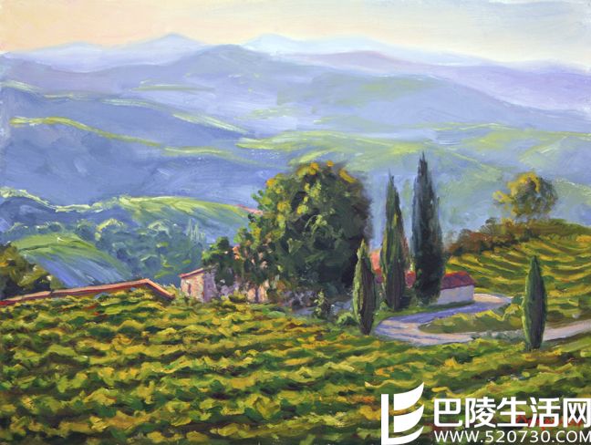 那些入了画的葡萄园，哪个入了你的心？