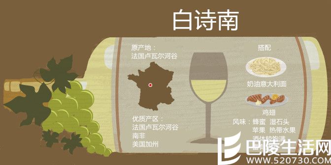 喝腻了长相思和霞多丽？是时候试试这些白葡萄酒了