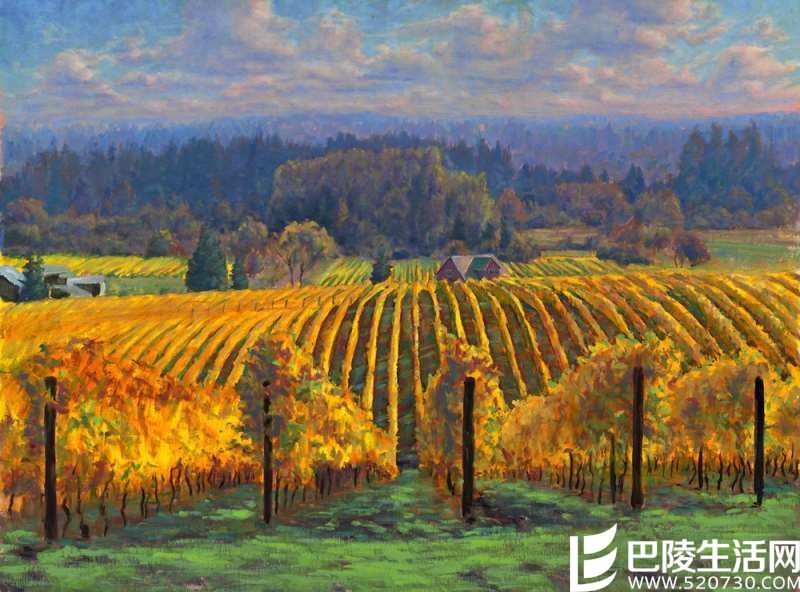 那些入了画的葡萄园,哪个入了你的心? 那些入了画的葡萄园,哪个入了你的心?