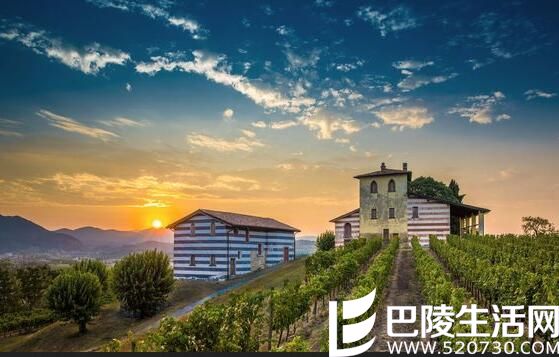 顶级葡萄酒产国中的遗珠