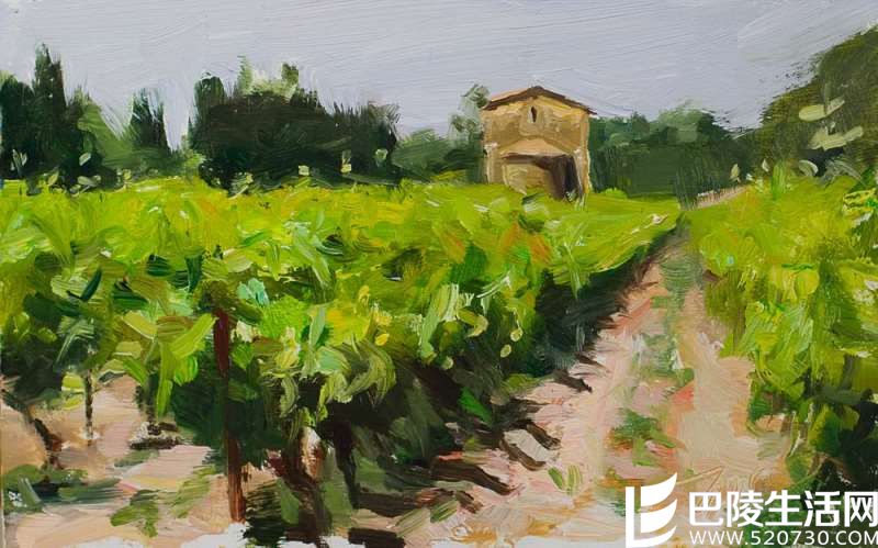 那些入了画的葡萄园，哪个入了你的心？