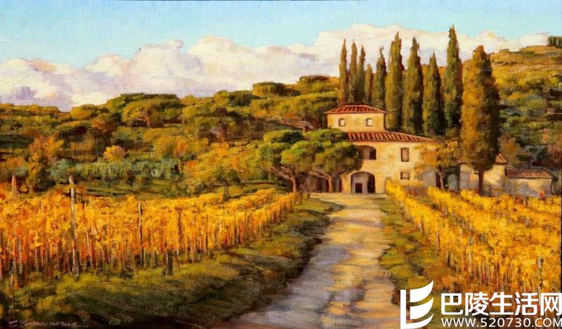 那些入了画的葡萄园，哪个入了你的心？