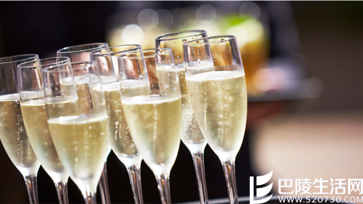 普洛赛克的简易指南