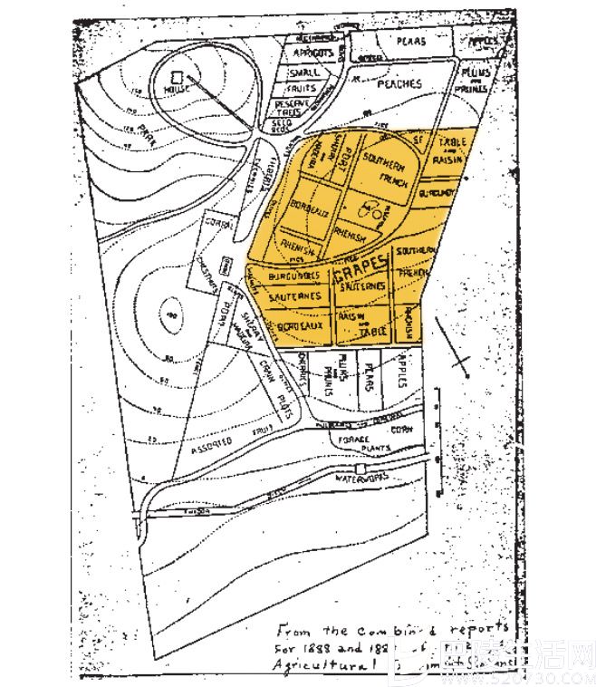 寻根溯源：加州葡萄酒的过往