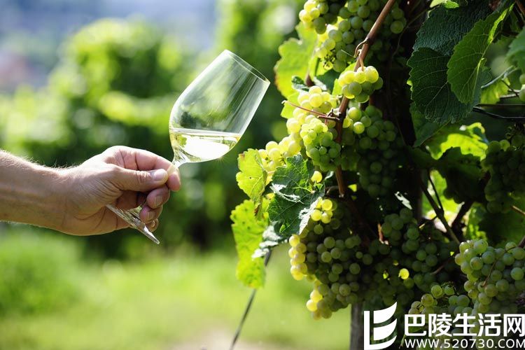 五分钟，轻松了解人见人爱的雷司令