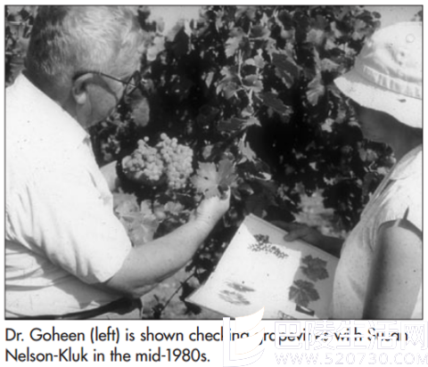 寻根溯源:加州葡萄酒的过往 寻根溯源:加州葡萄酒的过往