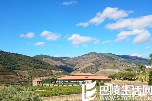 去葡萄牙杜罗河，这6个酒庄绝不能错过！