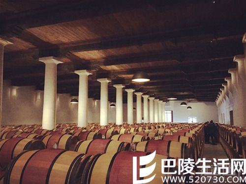 混合橡木桶会成为酿酒界霸主吗? 混合橡木桶会成为酿酒界霸主吗?