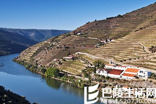 去葡萄牙杜罗河，这6个酒庄绝不能错过！