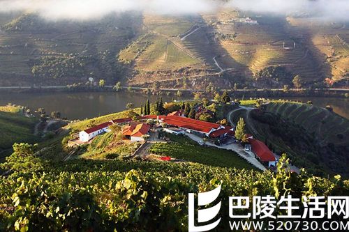 去葡萄牙杜罗河，这6个酒庄绝不能错过！