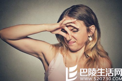 去索诺玛品酒，这10件事要注意