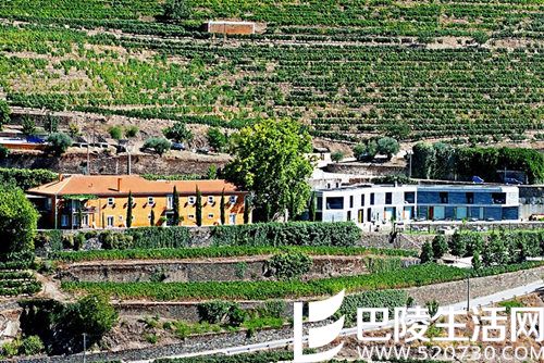 去葡萄牙杜罗河，这6个酒庄绝不能错过！