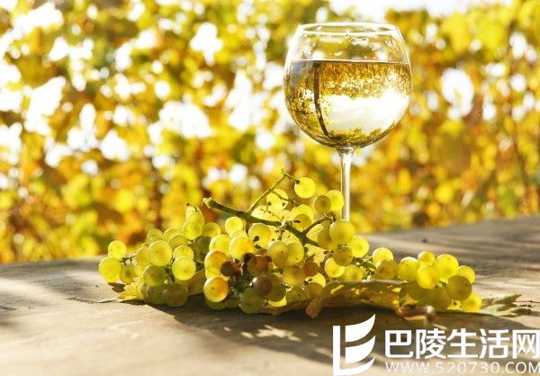 雷司令成为最佳配餐小能手的5大原因