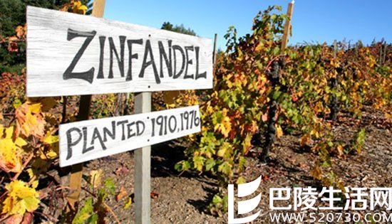 未来谁代表加州葡萄酒——仙粉黛还是赤霞珠？