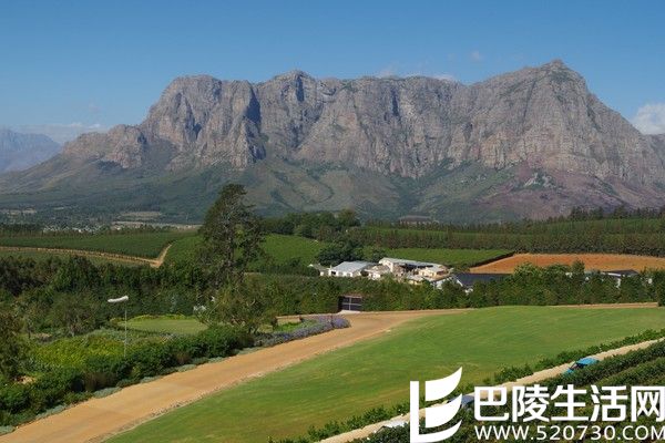 这些新世界的起泡酒，哪个是你的心头好？