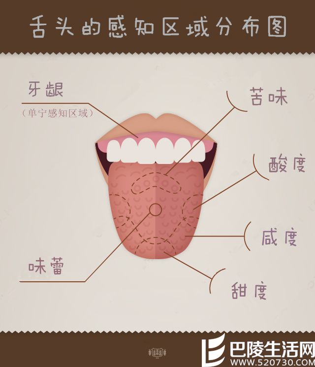 当我们谈论品鉴时，我们究竟在谈论什么？