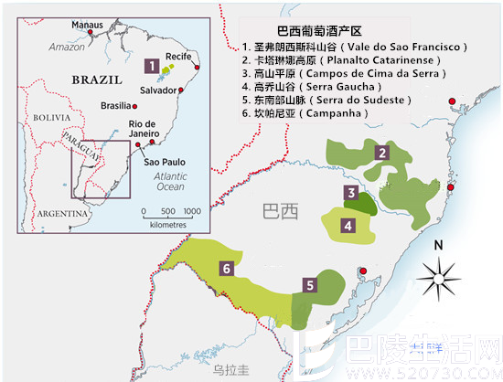 看奥运盛会，邂逅巴西葡萄酒