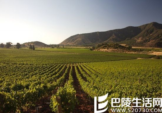 游智利圣地亚哥，这些葡萄酒产区你不能错过