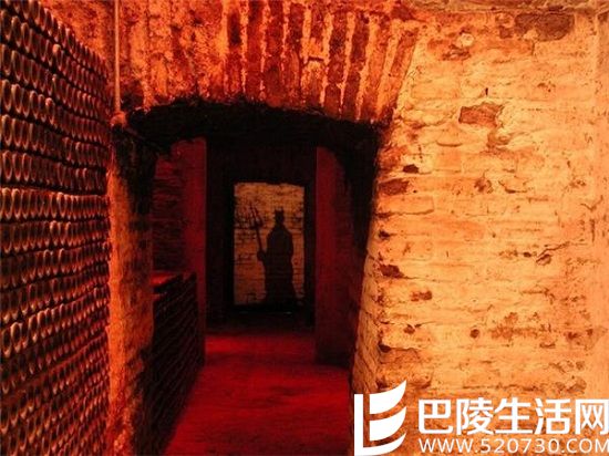 游智利圣地亚哥，这些葡萄酒产区你不能错过