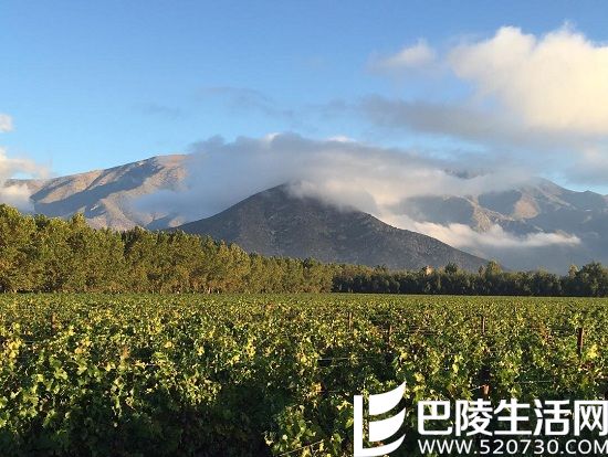 游智利圣地亚哥,这些葡萄酒产区你不能错过 游智利圣地亚哥,这些葡萄酒产区你不能错过