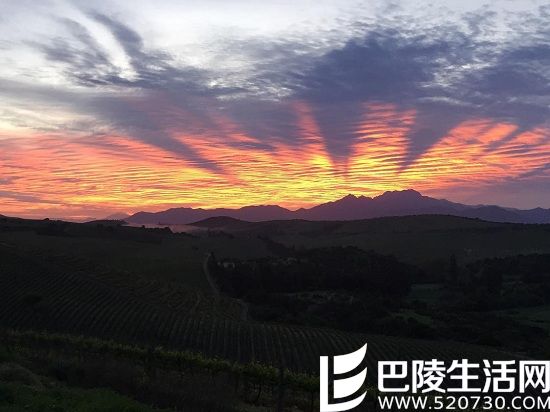 游智利圣地亚哥,这些葡萄酒产区你不能错过 游智利圣地亚哥,这些葡萄酒产区你不能错过