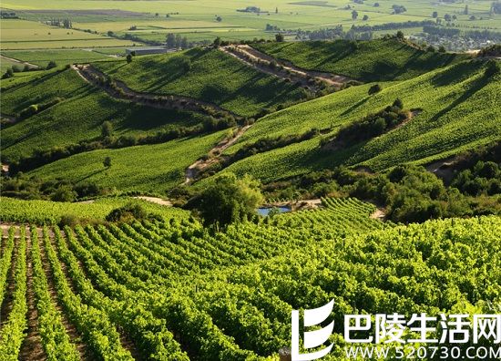 游智利圣地亚哥,这些葡萄酒产区你不能错过 游智利圣地亚哥,这些葡萄酒产区你不能错过