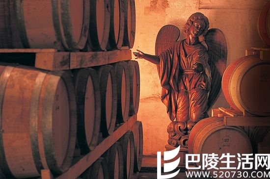 游智利圣地亚哥,这些葡萄酒产区你不能错过 游智利圣地亚哥,这些葡萄酒产区你不能错过