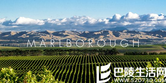 新西兰发布出口数据：中国与香港位列六七！