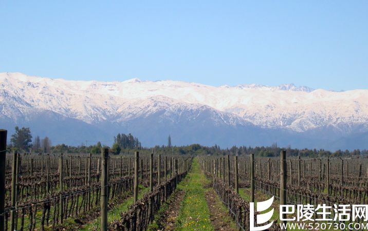 除了波尔多,这些地方的赤霞珠也不错 除了波尔多,这些地方的赤霞珠也不错