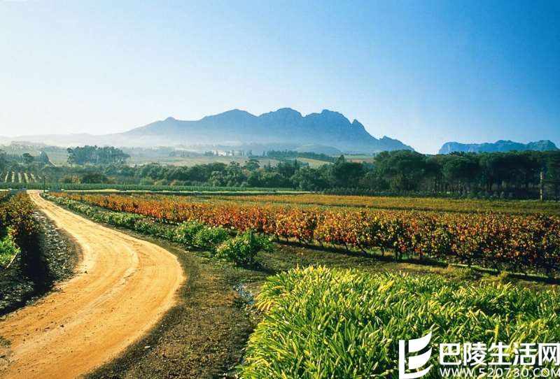 除了波尔多,这些地方的赤霞珠也不错 除了波尔多,这些地方的赤霞珠也不错