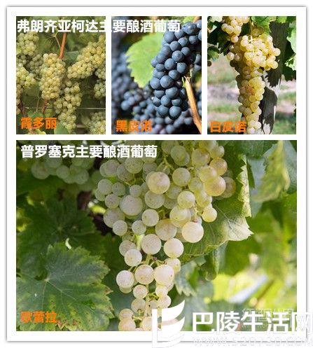 同为意大利起泡酒,普罗塞克和弗朗齐亚柯达有何不同? 同为意大利起泡酒,普罗塞克和弗朗齐亚柯达有何不同?