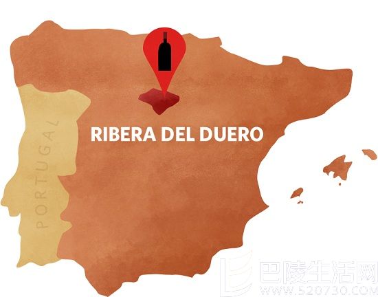西班牙产区新秀:杜埃罗河岸 西班牙产区新秀:杜埃罗河岸