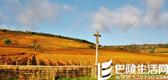 那个天天坐在家里喝康帝的老头是什么来头? 那个天天坐在家里喝康帝的老头是什么来头?