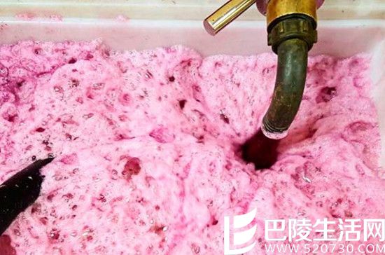 2016葡萄丰收美景