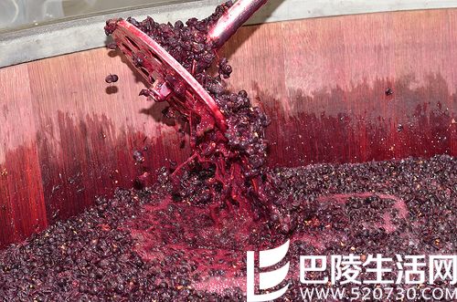 整串酿酒风潮席卷波尔多 整串酿酒风潮席卷波尔多