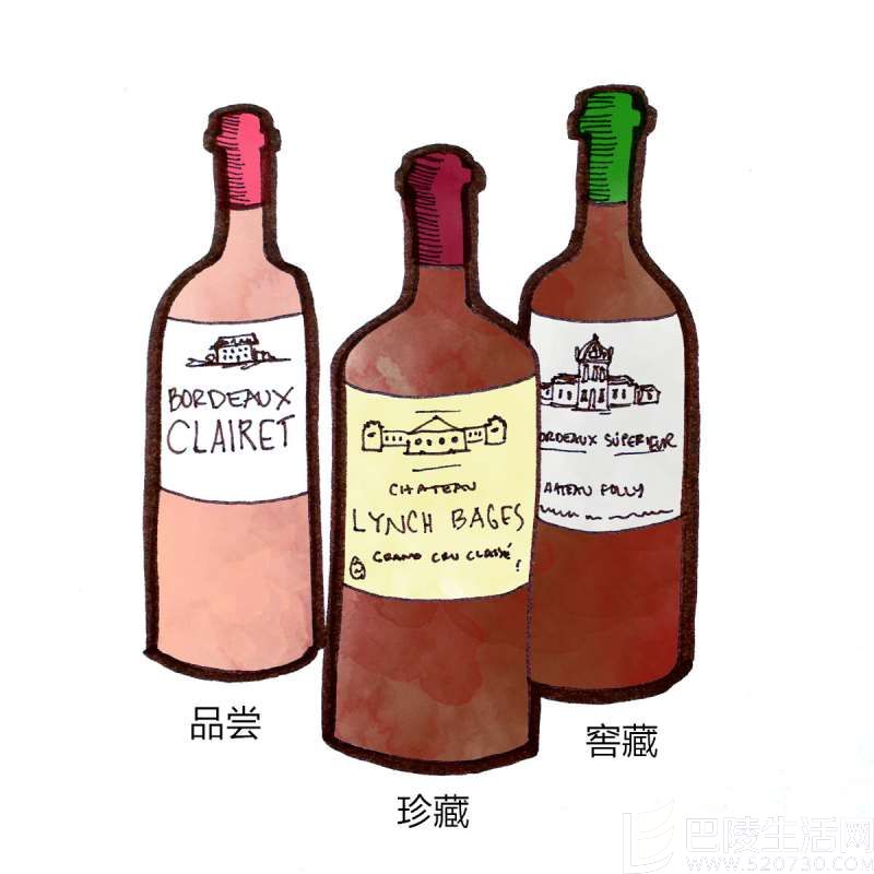 2015年份的优秀葡萄酒有哪些？