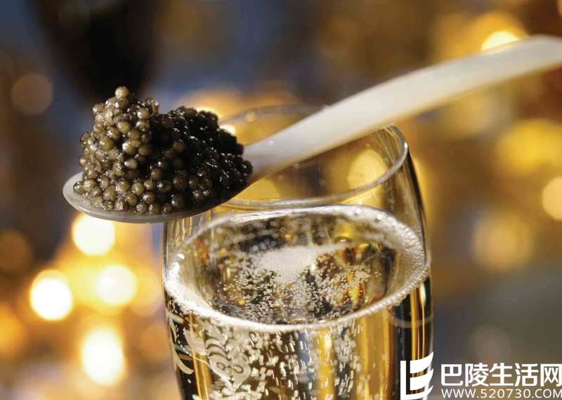 美酒与美食搭配技巧——互补与对比