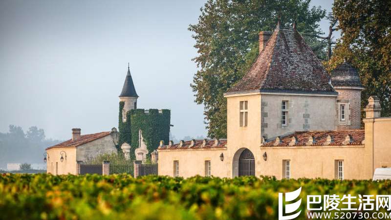 在米其林唐阁，你可以喝到什么样的葡萄酒