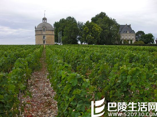 揭秘全球最受欢迎的10款葡萄酒