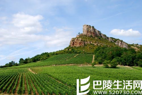 如何打造一次完美的勃艮第一日游？